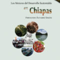 Libro Los Motores del Desarrollo en Chiapas