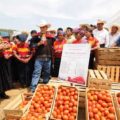 Ex gobernador Sabines durante la inaguración de un invernadero de tomate en Amatenango del Valle. Foto: Icoso