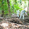 Mantienen un cerco sanitario en el Zoomat. Foto: Icoso