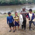 Mortandad de peces en el Usumacinta