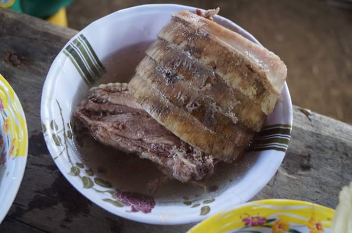 Caza desenfrenada por su piel y carne lleva al borde de la desaparición al  Armadillo | Chiapasparalelo