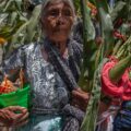 El baile de la milpa por la buena cosecha