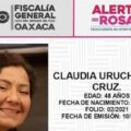 Presidenta Municipal de Nochixtlán daría orden de asesinar a activista México-Británica: AMLO