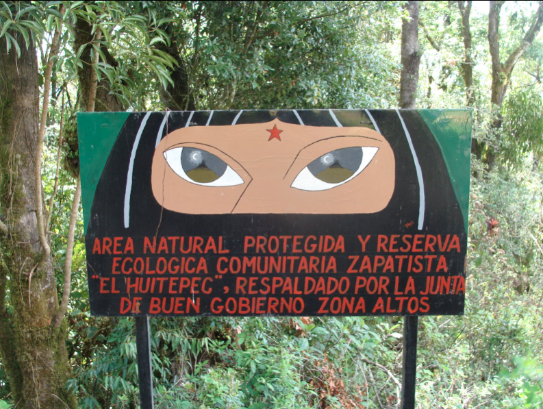 Autoridades electas de San Cristóbal promueven despojo de reserva zapatista  de Huitepec, en SCLC | Chiapasparalelo