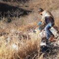 Sabuesos buscadoras en Oaxaca acompañan a autoridades en la exploración de campo.