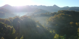 Ubicada entre las montañas que conforman la Sierra Madre del Sur, en el estado de Chiapas, la Reserva de la Biosfera El Triunfo conserva uno de los ecosistemas más ricos en biodiversidad de México: el bosque de niebla. Cortesía: FONCET A. C.