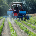 Fertilizantes: desafíos y soluciones para proteger el planeta. Cortesía: UNEP