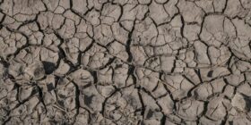 ¿Sequía o saqueo? La crisis de agua en el Valle de Mexicali.
Foto: Heriberto Paredes
