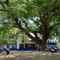 Oaxaca: Ante el calor, un huanacaztle se convierte en refugio para estudiantes de Juchitán
Foto: Istmo Press