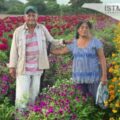 Victorina e Isaías, 40 años cultivando flor de muerto en Oaxaca: “Sembramos por tradición a pesar de que ya no llueve como antes”
Foto: Diana Manzo