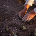 Pequeños productores no tienen capacidad de adaptación climática
Foto: Revista Espejo