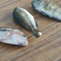 En Oaxaca: peces con malformaciones, enfermedades y agua envenenada
Foto: Cortesía