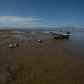 “Caminar para pescar”: postales de la sequía en el Lago de Chapala
Foto: Zona Docs