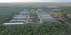Profepa multa a 26 granjas porcícolas en Yucatán que incumplen leyes ambientales