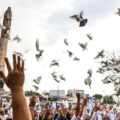 Con la esperanza de verles regresar, familias buscadoras lanzan palomas mensajeras
Foto; Zona Docs