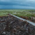 Yucatán: incendio en Sisal despierta dudas entre ejidatarios, señalan a inmobiliarias
Foto: Miguel Guillermo