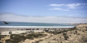 Tribunal de comercio falla en favor de Odyssey Marine la demanda contra México por no autorizar una mina submarina en Baja California Sur
Foto. Celia Guerrero / Archivo PdP