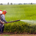 Fotografía de Piqsels. Tomada de Fundación Tortilla, publicado 09 de enero de 2021. https://fundaciontortilla.org/Agricultura/decretan_prohibicion_de_glifosato_en_el_campo_mexicano