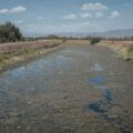 Campesinos de Mexicali aceptan parar producción para cuidar el agua de los Estados Unidos
Foto: Heriberto Paredes / Archivo Pie de Página