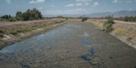 Campesinos de Mexicali aceptan parar producción para cuidar el agua de los Estados Unidos
Foto: Heriberto Paredes / Archivo Pie de Página