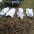 Otros 14 cuerpos fueron hallados de personas desaparecidas