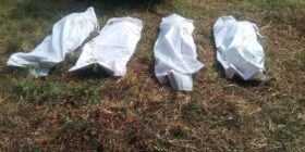 Otros 14 cuerpos fueron hallados de personas desaparecidas