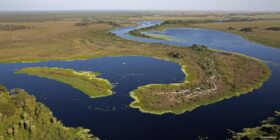 Ganado en Pantanal del ANMI San Matias. Foto:FCBC