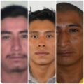 Fiscalía de Sinaloa solicita colaboración para identificar a siete chiapanecos 
Foto: Fiscalía General de Sinaloa