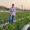 Cepas chiapanecas, una alternativa más para salvar al campo chiapaneco
Foto: Cortesía