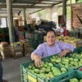 Productores de mango en Oaxaca celebran pausa de Trump en los aranceles: “No nos vamos a confiar, esto es solo un respiro”
Foto: Istmo Press